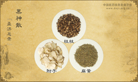 黑神散《圣济总录》