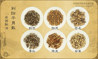 荆防平胃散