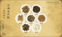 定痛追风散
