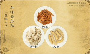 加味参苏散