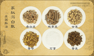 家秘泻白散