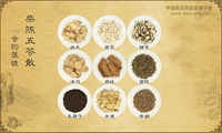 柴陈五苓散