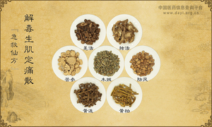 解毒生肌定痛散