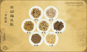 柴胡梅连散