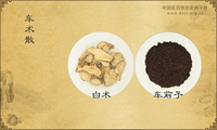 车术散