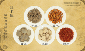 莪术散《秘传内府经验女科》
