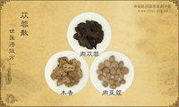 苁蓉散《世医得效方》