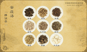安痘汤