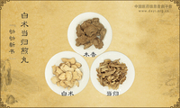 白术当归煎丸