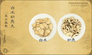 白术枳壳丸