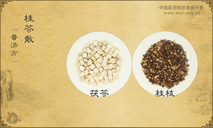 桂苓散