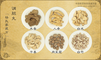 调脏丸