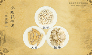 参附茯苓汤