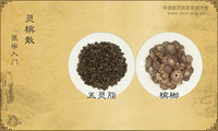 灵槟散《医学入门》