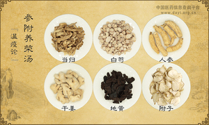 参附养荣汤