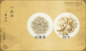 二圣汤《普济方》