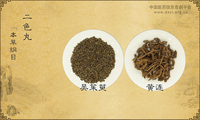二色丸《本草纲目》