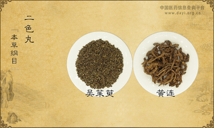 二色丸《本草纲目》