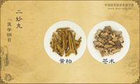 二妙丸《医学纲目》