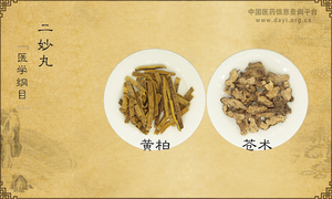 二妙丸《医学纲目》