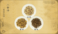 二黄汤《医学正传》