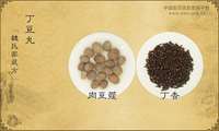 丁豆丸