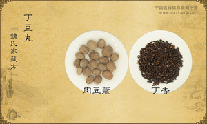 丁豆丸