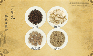 丁附丸