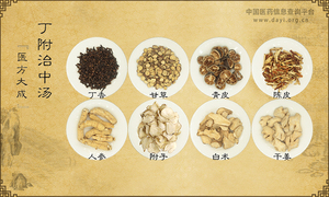 丁附治中汤