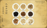 九味异功煎《景岳全书》