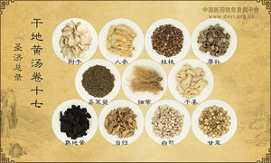 干地黄汤《圣济总录》卷十七