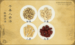 干姜人参汤《脉因证治》