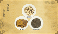 大黄散《医方类聚》
