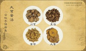 大芎黄汤《云岐子保命集》