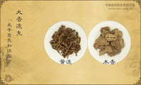 大香连丸