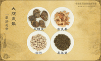 大腹皮散《圣济总录》