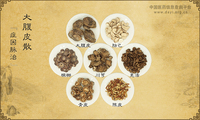 大腹皮散《症因脉治》