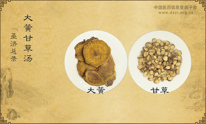 大黄甘草汤《圣济总录》
