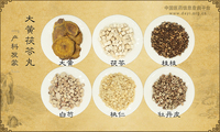 大黄茯苓丸《产科发蒙》