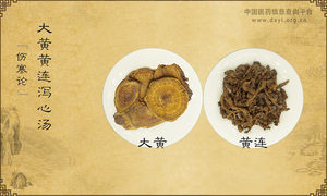 大黄黄连泻心汤