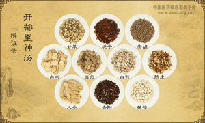 开郁至神汤《辨证录》