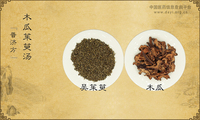 木瓜茱萸汤《普济方》