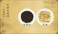 车前木通汤《症因脉治》