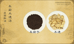 车前木通汤《症因脉治》