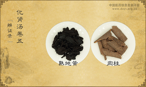 化肾汤《辨证录》卷五