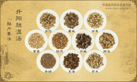 升阳胜湿汤