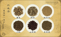 六味汤《是斋百一选方》