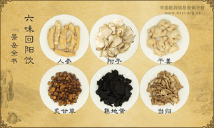 六味回阳饮《景岳全书》