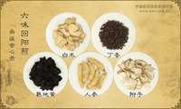 六味回阳煎《杂症会心录》
