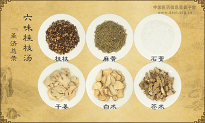 六味桂枝汤《圣济总录》